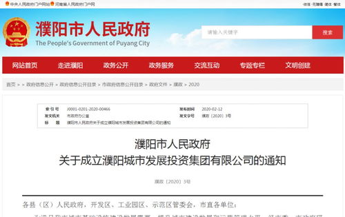 注冊(cè)資本金20億元，濮陽城市發(fā)展投資集團(tuán)正式成立